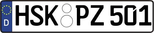 HSK-PZ501