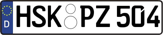 HSK-PZ504