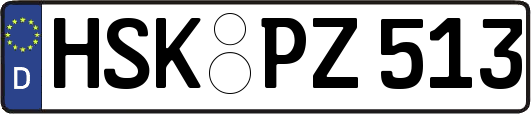 HSK-PZ513