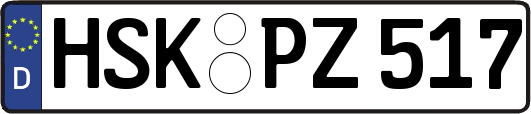 HSK-PZ517
