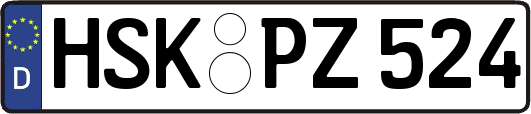 HSK-PZ524