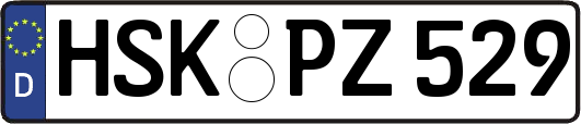 HSK-PZ529