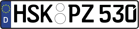 HSK-PZ530