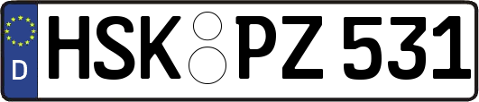 HSK-PZ531