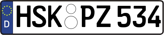 HSK-PZ534