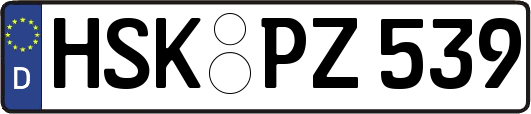 HSK-PZ539