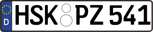 HSK-PZ541
