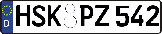 HSK-PZ542