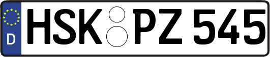 HSK-PZ545