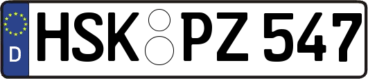 HSK-PZ547