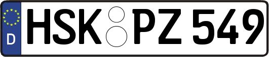 HSK-PZ549