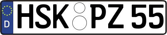 HSK-PZ55