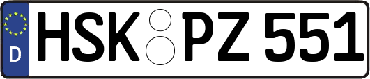 HSK-PZ551