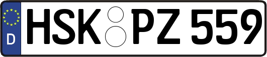 HSK-PZ559