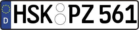 HSK-PZ561