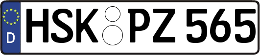 HSK-PZ565
