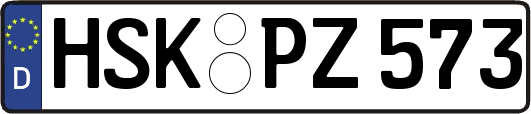 HSK-PZ573