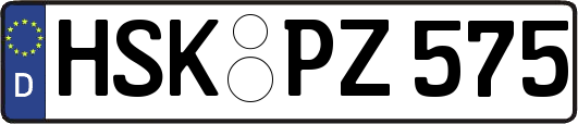 HSK-PZ575