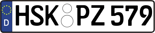 HSK-PZ579