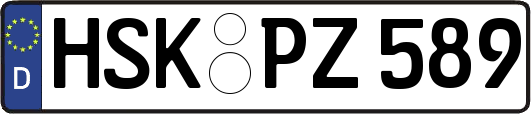 HSK-PZ589