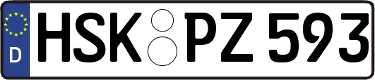 HSK-PZ593