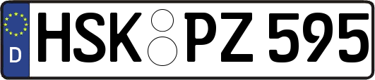 HSK-PZ595