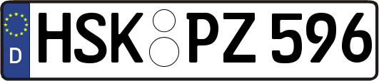 HSK-PZ596