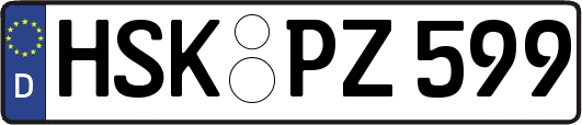 HSK-PZ599