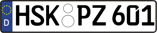 HSK-PZ601