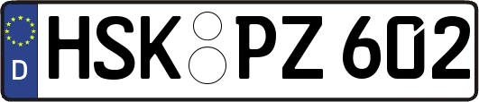 HSK-PZ602