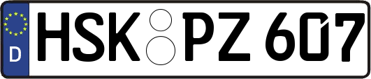 HSK-PZ607