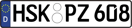HSK-PZ608