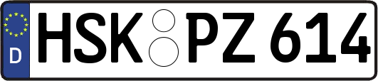 HSK-PZ614
