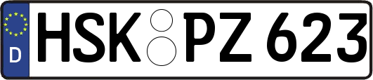 HSK-PZ623