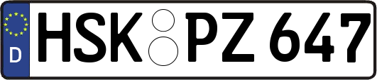 HSK-PZ647