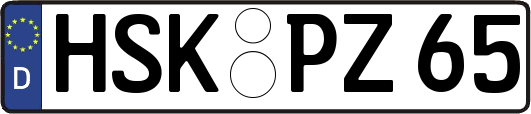 HSK-PZ65