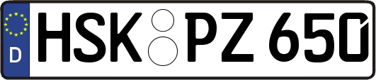HSK-PZ650
