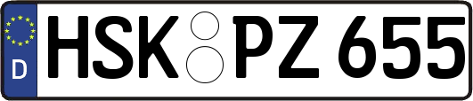 HSK-PZ655