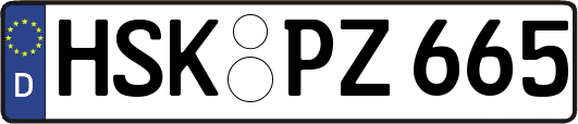 HSK-PZ665
