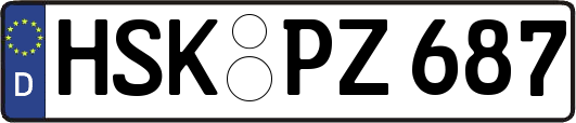 HSK-PZ687