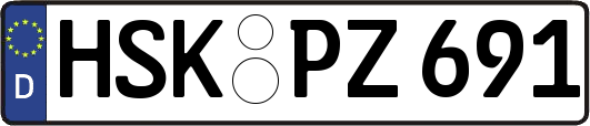 HSK-PZ691