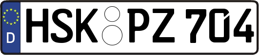 HSK-PZ704