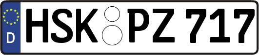 HSK-PZ717