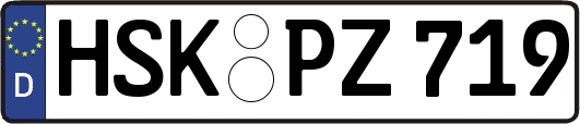 HSK-PZ719