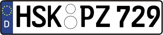 HSK-PZ729