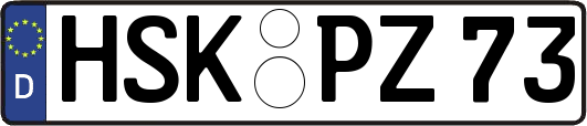 HSK-PZ73