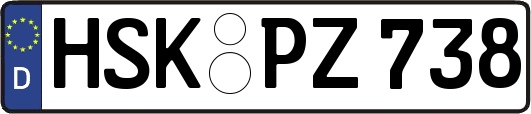 HSK-PZ738