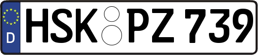 HSK-PZ739
