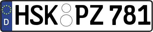 HSK-PZ781