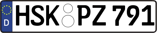 HSK-PZ791